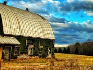 Farm Winston Salem NC