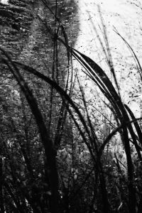 new york storm fine art photograph - Jared Weinryt
