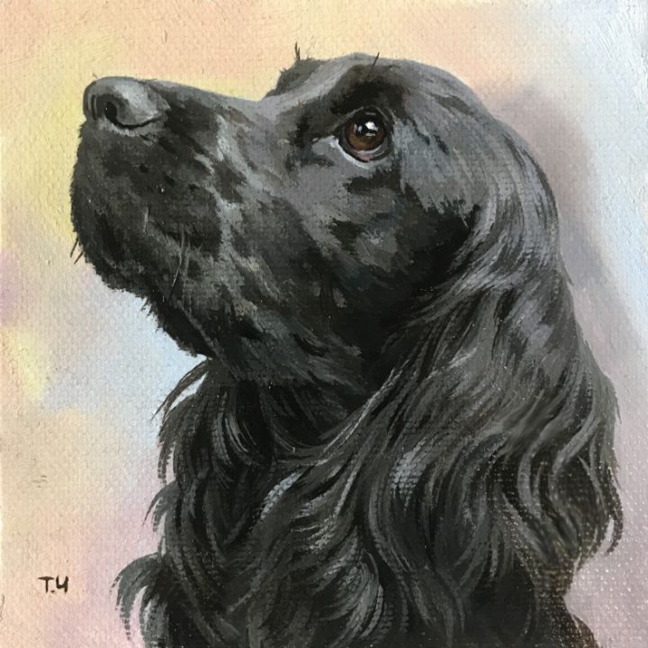 Cocker spaniel hot sale portrait