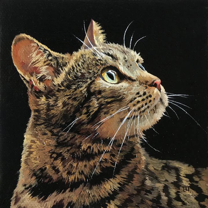 European shorthair cat - Painting by Tatjana Cechun - Paintings