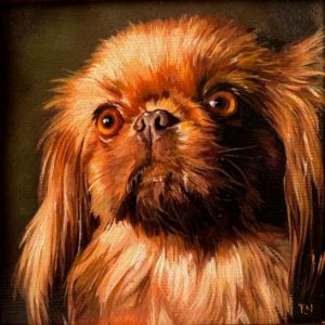 ペキニーズ書籍4冊セット 本 洋書 写真 pekingese PEKINGESE ペキニーズ書籍4冊セット 本 洋書 写真 pekingese PEKINGESE