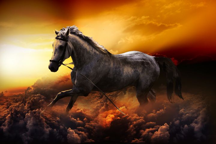 Horse Running Above The Cloud 7 - DaHuyn - Digital Art & AI