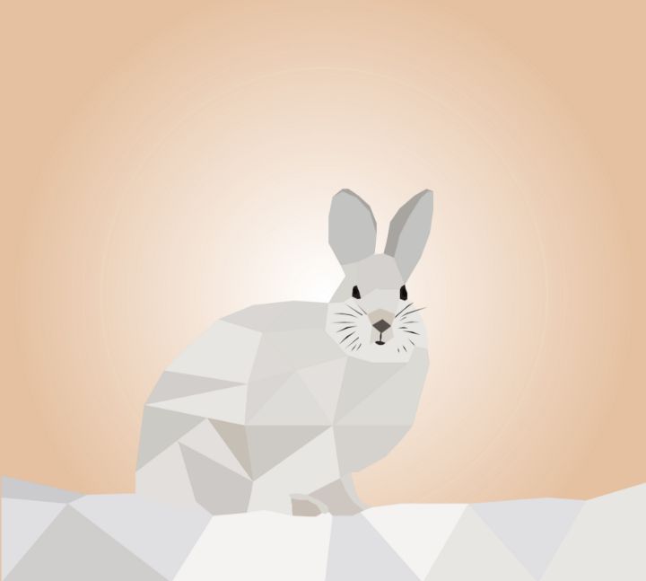Cute Rabbit Artwork - Rizu Designs - Digital Art, Animals, Birds ...