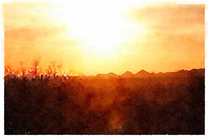 DESERT SUN - Infinity Bunny Studio