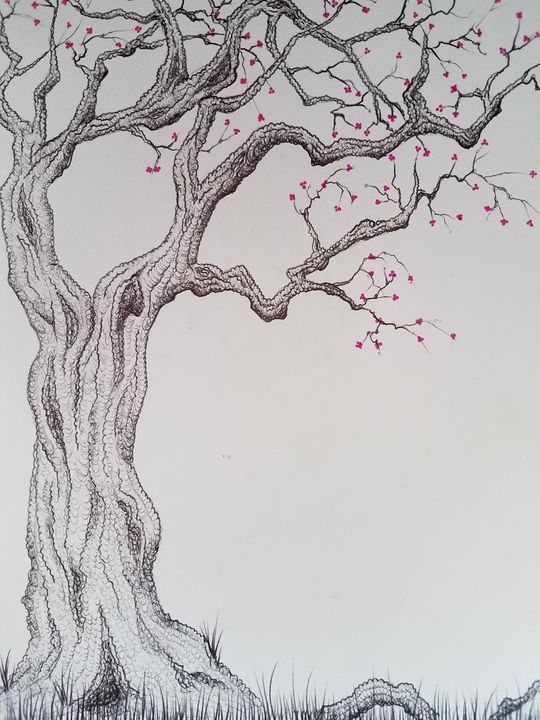 Cherry Blossom Tree Drawing png download - 2400*2300 - Free Transparent  National Cherry Blossom Festival png Download. - CleanPNG / KissPNG