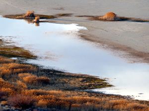 Great Salt Lake shoreline - Brian Shaw