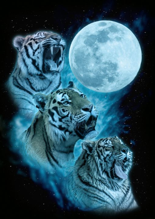 Three Tiger Moon - Reignbow Creative