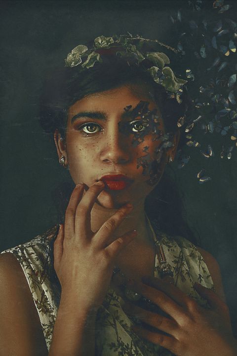 Butterfly Eyes - Reignbow Creative