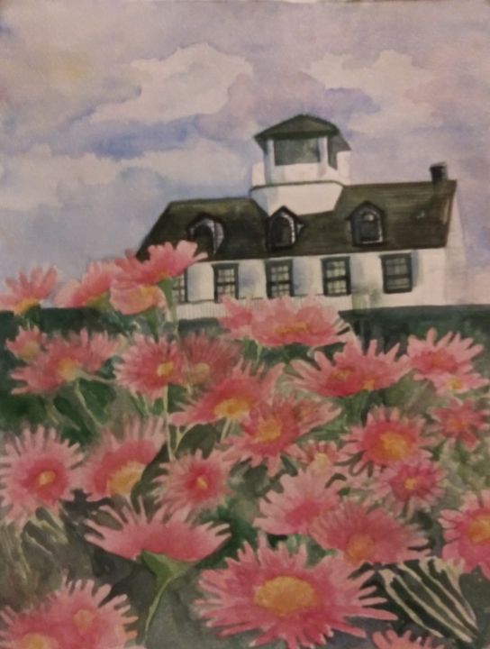 Pink Daisies at Lighthouse - All Things Bright and Colorful