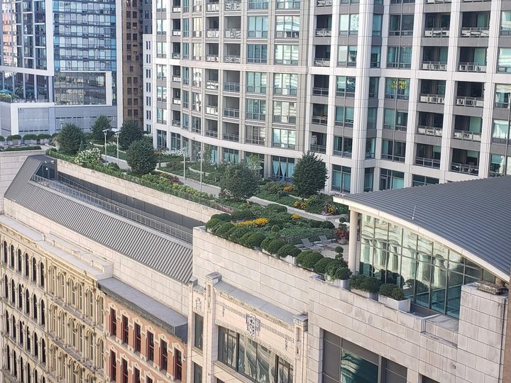 Chicago Rooftop Garden Dan Dunn DRD.Media Photography, Buildings