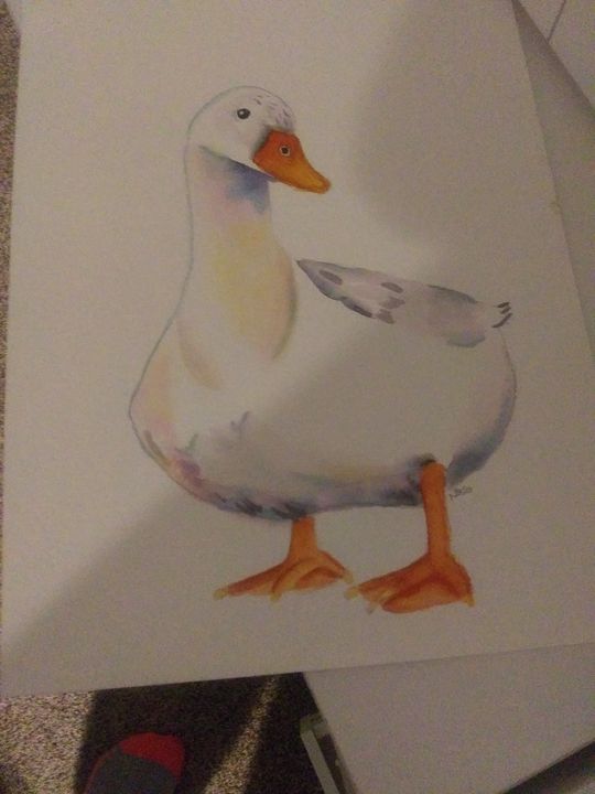 Watercolor duck - Missygirl