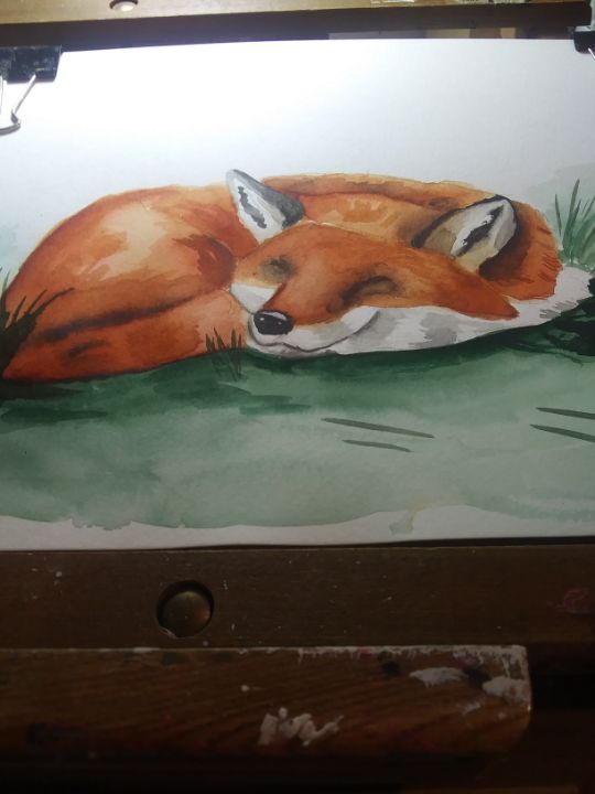 Watercolor dozing Red fox - Missygirl