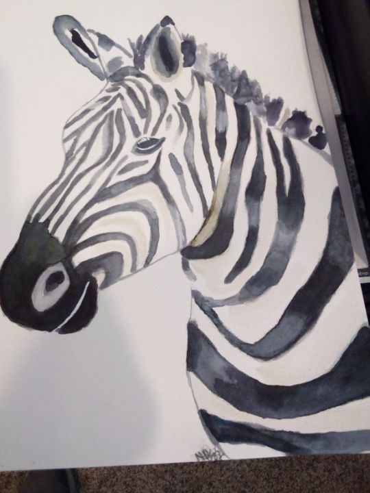 Watercolor Zebra - Missygirl