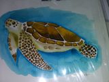 Original sea turtle