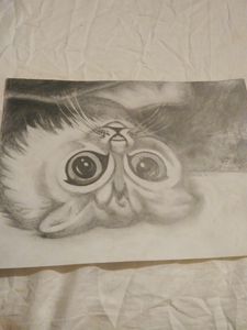 Upside-Down Kitty