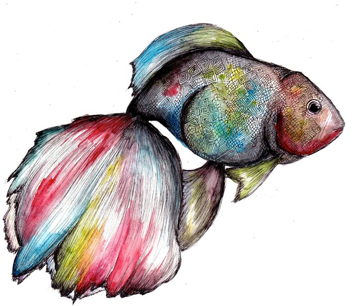 Rainbow Fish - Ishkaart