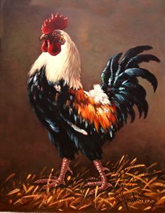 Rooster - the master of the yard