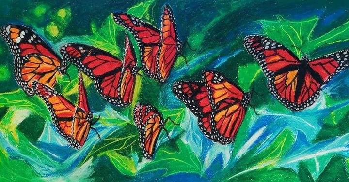 Monarch Flutterflies - Poonam Singh's Art