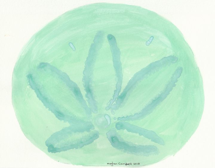 Sand Dollar - Green and Blue - Meghan Campbell