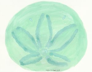 Sand Dollar - Green and Blue