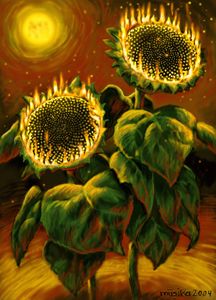 the sunflowers