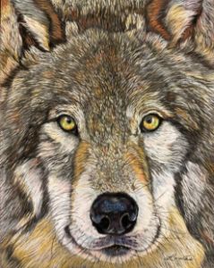 Artistic Watecolor Wolf Painting Set - CreativeModernArt - Paintings &  Prints, Animals, Birds, & Fish, Wolves - ArtPal