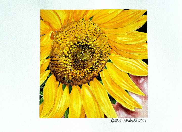 Sunflower - Laurie Ann Marshall