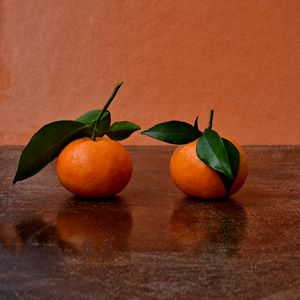 Two mandarins - Elena Zapassky