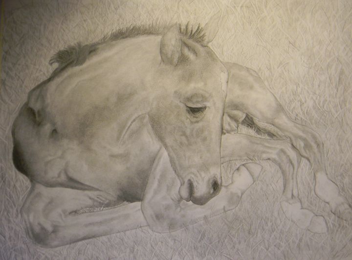 mom and baby horse line art by Toboegirl55 on DeviantArt