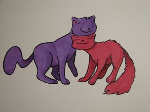 Bubble and Sud