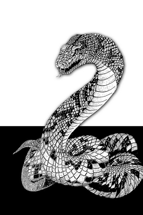 the snake - Malini