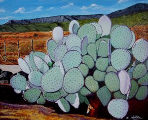 Chuckwalla cactus