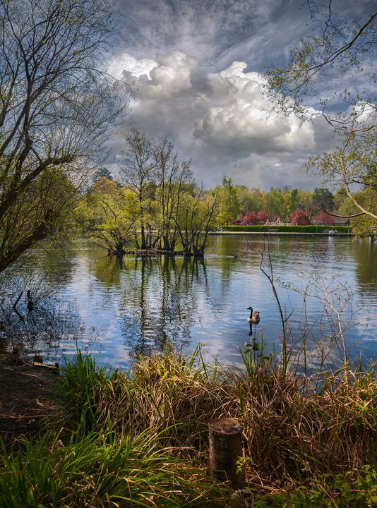 Cloud Reflections at Longmoor Lake - Dave Williams