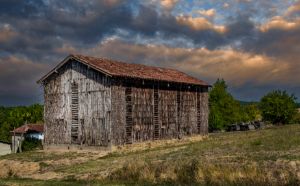 The Old Tobacco Barn