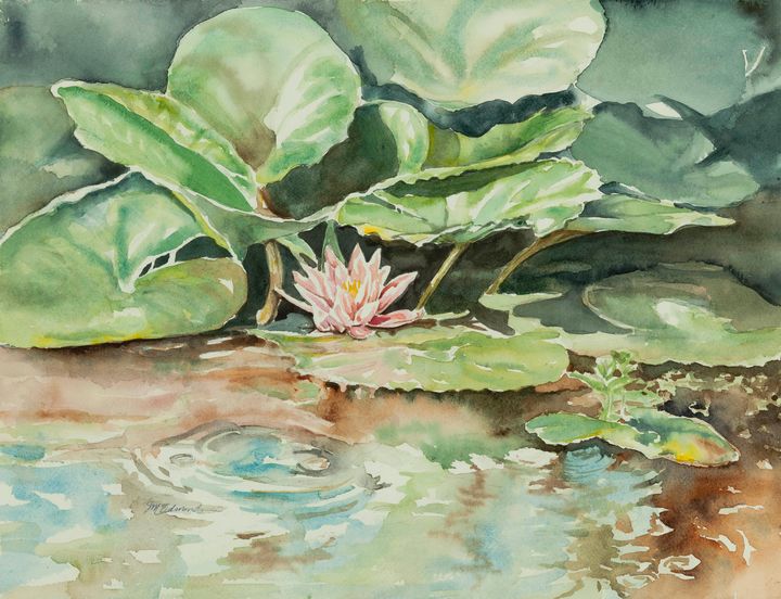 Waterlily - Suzanne Edmonds