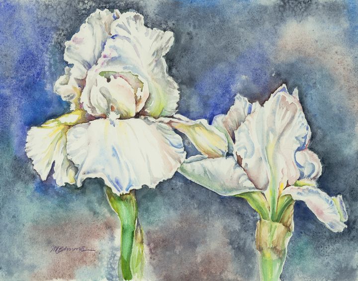 White Irises - Suzanne Edmonds