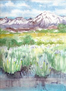 Wild Iris: Owens Valley - Suzanne Edmonds