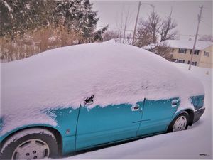 Snowed In February 16, 2021