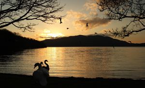Sunrise at Irish lake