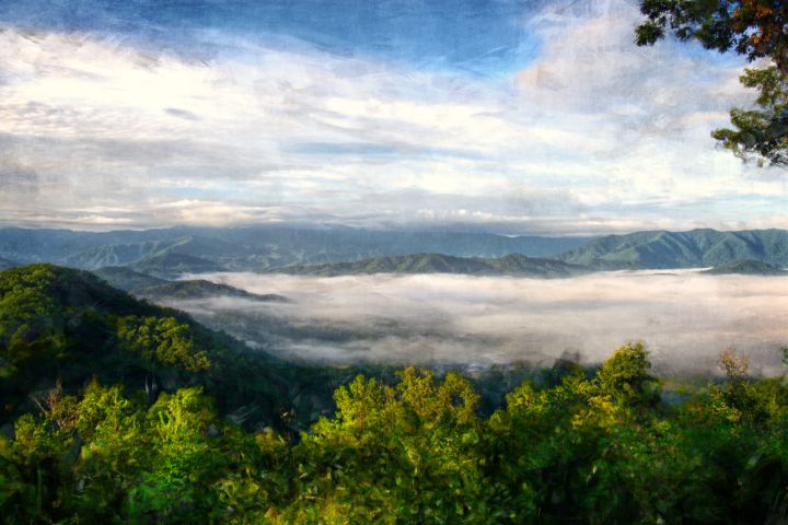 Fog in the Valley 2 - Perkins Designs