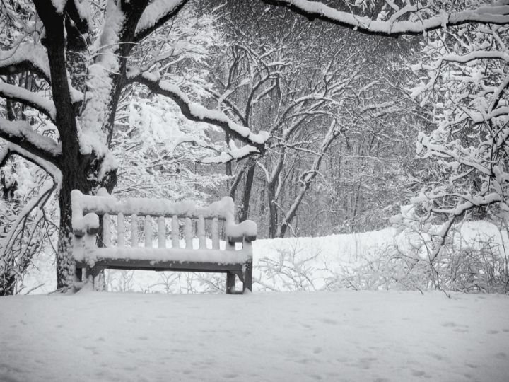 Snow Covered Bench - Perkins Designs