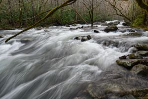 Middle Prong Little River 55