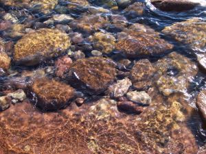 Underwater