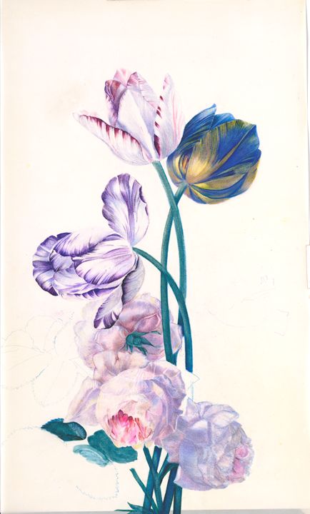 Rembrandt Tulips - Wm Rease Design.com