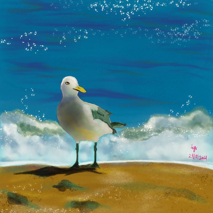 Seagull - Byt Azaki