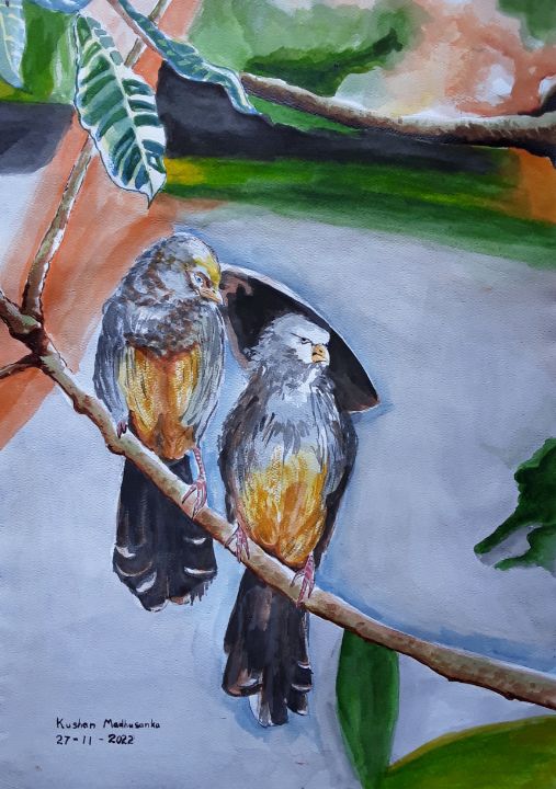 Kushan madusanka paintings prints drawings illustration