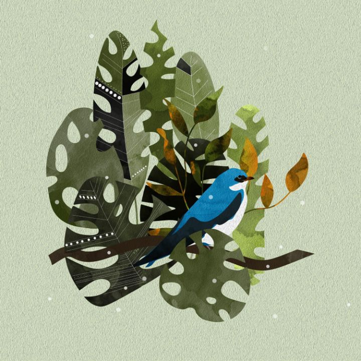 Nature bird - ZEEO - Drawings & Illustration, Animals, Birds, & Fish, Birds, Bluebird - ArtPal Nature bird - ZEEO - Drawings & Illustration, Animals, Birds, & Fish, Birds, Bluebird - ArtPal