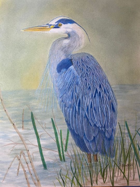 Heron - Art by MoJo-A Division of Heavenly Smiles