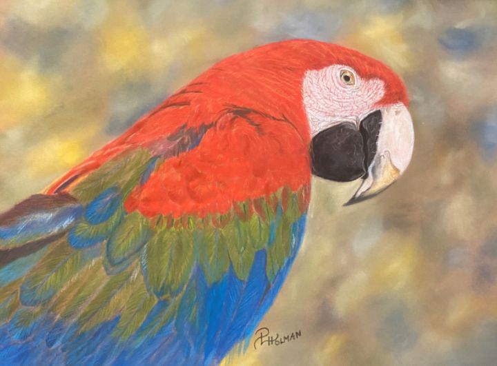 Macaw - Art by MoJo-A Division of Heavenly Smiles