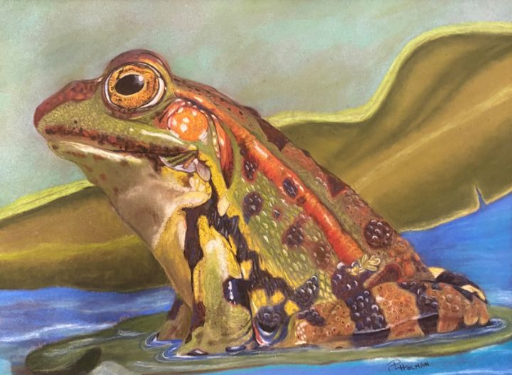 Frog on a Lily Pad - Art by MoJo-A Division of Heavenly Smiles